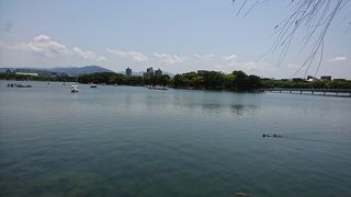 都会の中の大きな公園