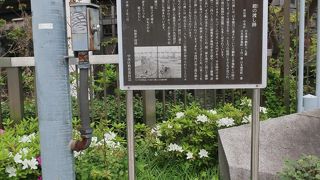 こんな都心に渡しとは意外です