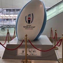 ラグビーワールドカップが開かれるそうです。