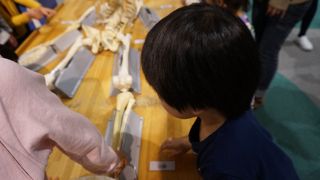 大人の入場料が高い！