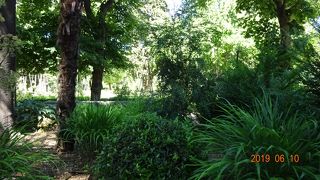 行ってみたのですが、6月の午後はひたすら暑かった！