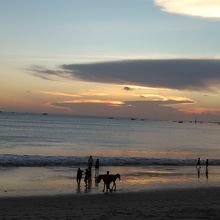 美しいビーチと馬がいる光景