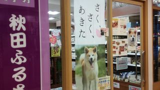 秋田犬ビール