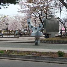 中央公園の桜です