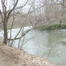 遊歩道から降りた渓流です
