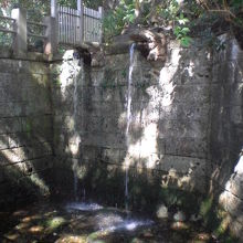 深大寺の不動堂の傍に不動の滝があります。名湧水として有名です