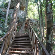 登山道