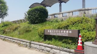 信濃川沿いの緑地