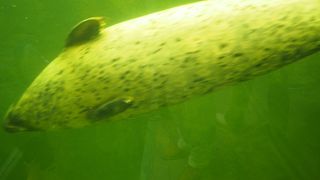 水のチューブの中を通る