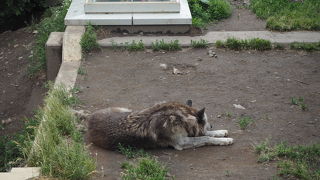 風格ある座っている姿