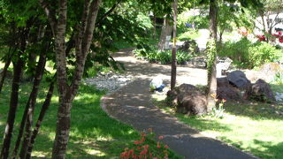 保育園児が遊んでました。