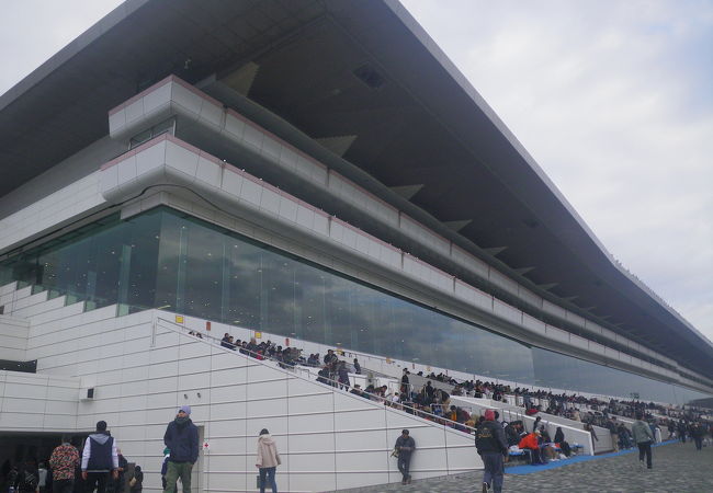 中山競馬場 クチコミ アクセス 営業時間 船橋 習志野 フォートラベル 中山競馬場 クチコミ アクセス 営業時間 船橋 習志野 フォートラベル