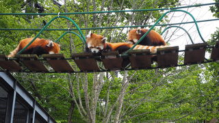 写真スポットです