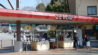 動物との距離が近いです