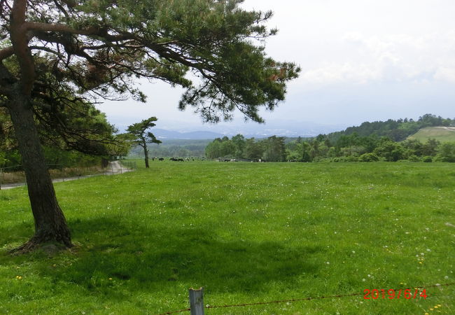 八ヶ岳ウェスタン牧場