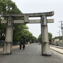 鳥居をくぐる