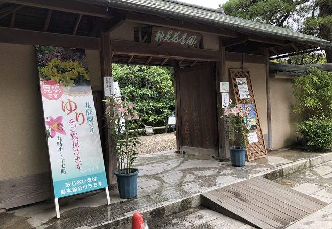 筥崎宮神苑花庭園 クチコミ アクセス 営業時間 博多 フォートラベル 筥崎宮神苑花庭園 クチコミ アクセス 営業時間 博多 フォートラベル