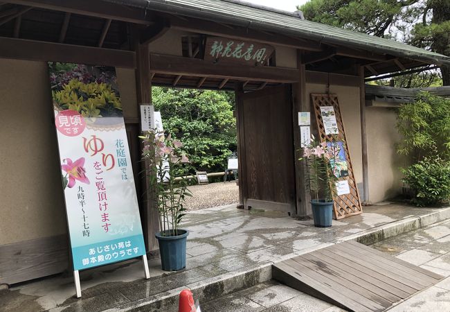 筥崎宮神苑花庭園 クチコミ アクセス 営業時間 博多 フォートラベル