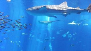 広い広い！！一日かかっちゃうね