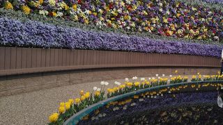 フラワーラグーンが綺麗で感激 By Tamakoro ラグーナテンボスlagunasiaのクチコミ フォートラベル フラワーラグーンが綺麗で感激 By Tamakoro ラグーナテンボスlagunasiaのクチコミ フォートラベル