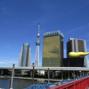 黄金モニュメントと東京スカイツリーを記念写真にお勧めします。