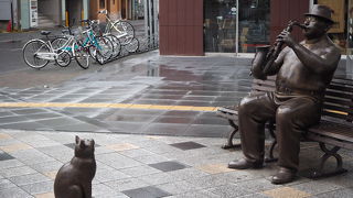 思わず写真を撮る