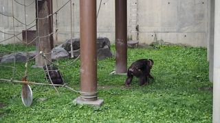 みんなよく動いている