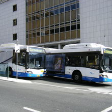 シドニー市内を走るバス