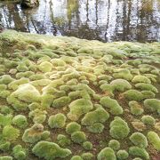 故スティーブ・ジョブズも度々訪れたと言う　世界遺産　西芳寺（苔寺）