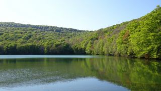 蔦沼だけなら駐車場から徒歩１０分