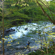 なにやらステキな清流が、と思ったら