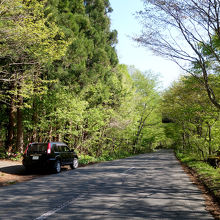 国道のすぐ脇の川、それが