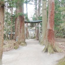 開運の小道を通った二つの鳥居です