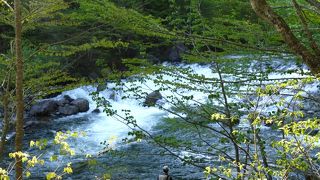 歩かないと行けない所だと思っていたが