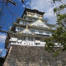 内部は楽しめる内容