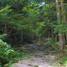 熊野古道