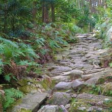 熊野古道の石畳