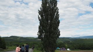 大雪山山系をバックにする