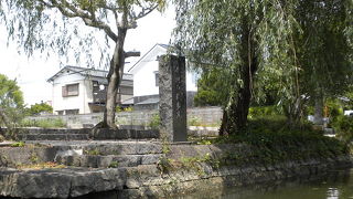 どんこ船からも