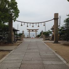 瀬戸内海が見えています