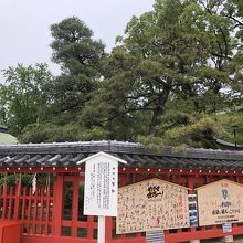 朱色の柵に囲まれた松