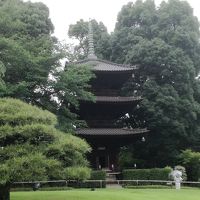 小雨で残念。晴れた日にまた行きたい。