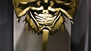 恐竜の骨格標本の展示が充実しています。博物館が閉館時は公園も閉園です。