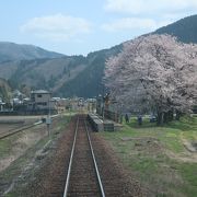 一本桜と佇む駅 ♪