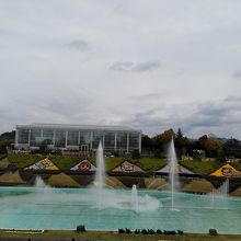 動物の植栽が可愛い