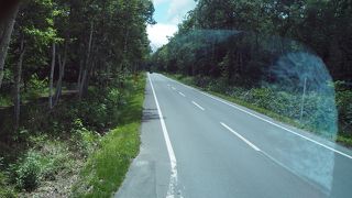 美しい丘陵地が続いている