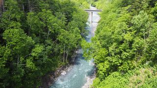 白金温泉付近は絶景