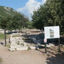 公営アゴラ遺跡の現状は原っぱです