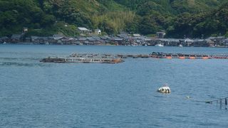 酒蔵、向井酒造があります