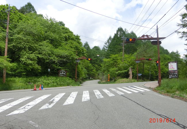 天女山 美し森ハイキングコース